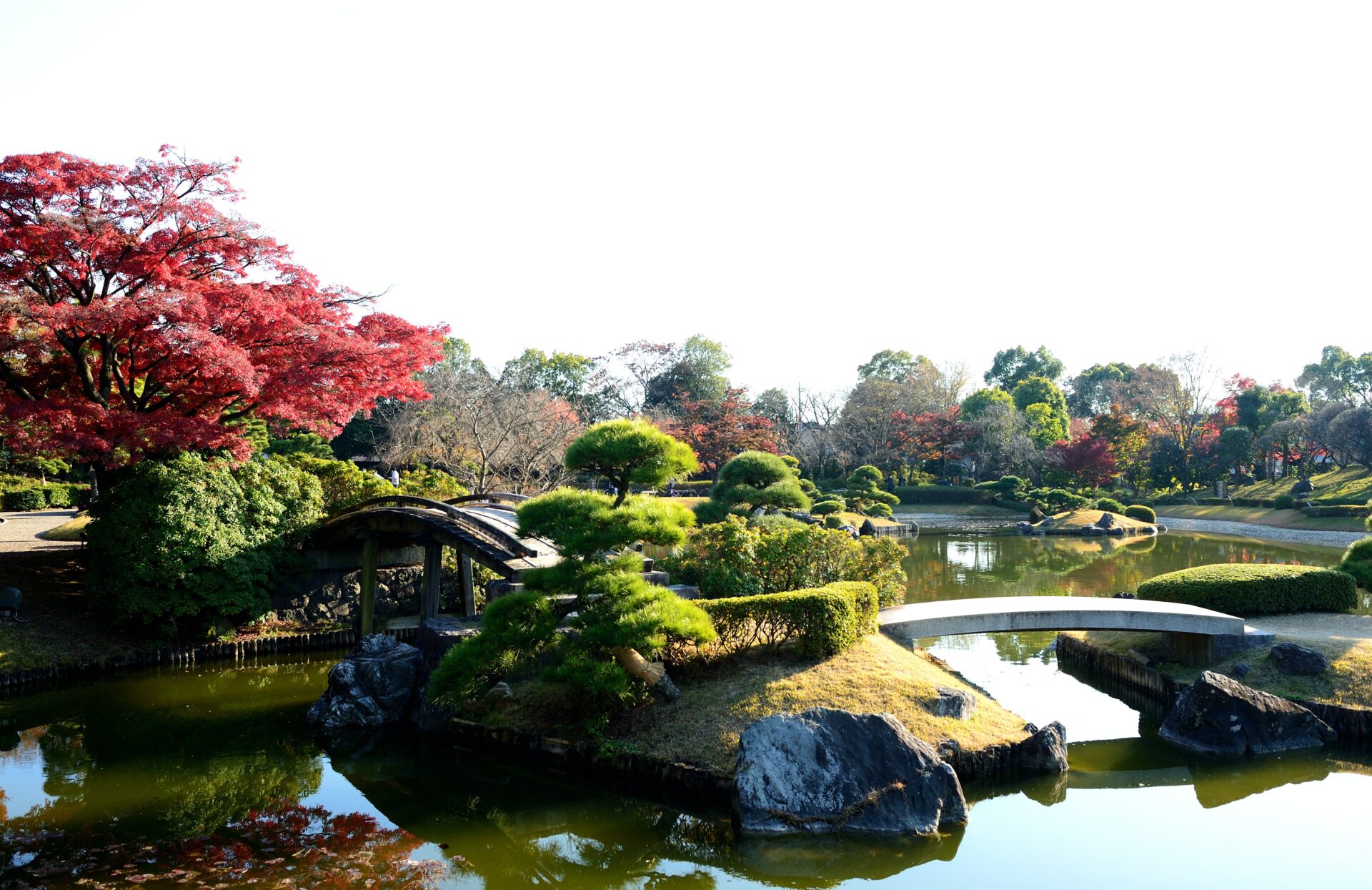 写真　日本庭園　花田苑