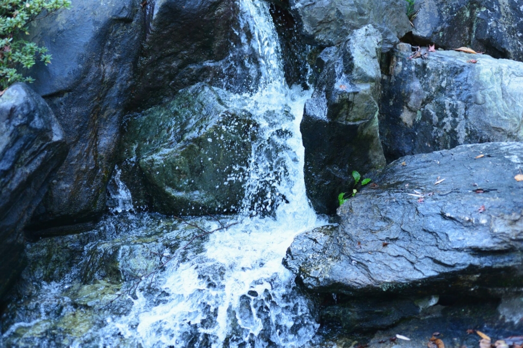 写真　水　滝