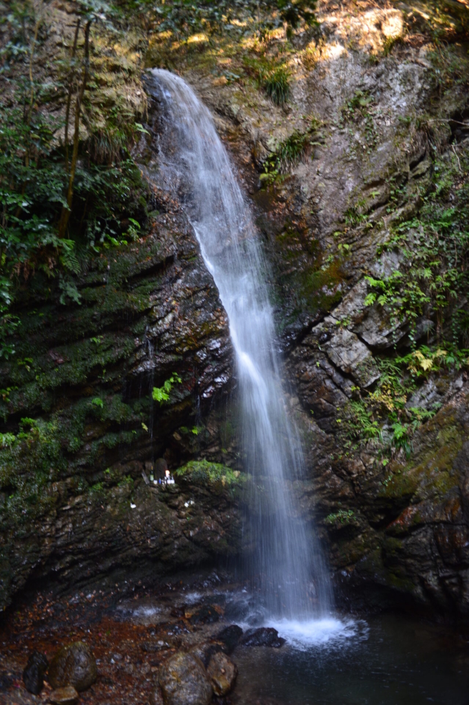 滝　写真