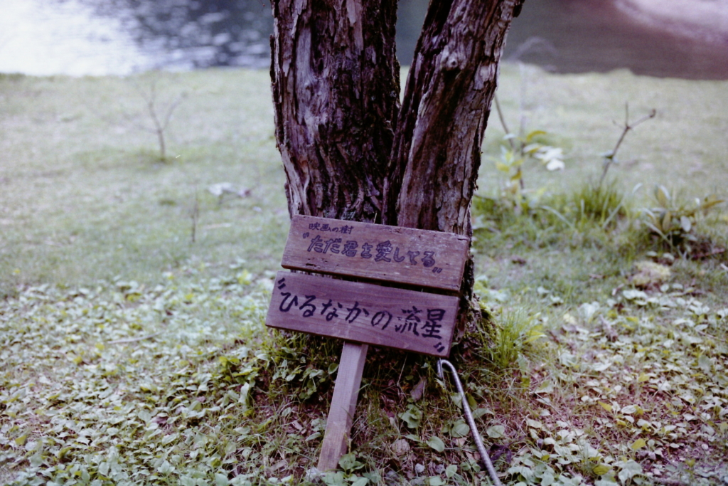 ただ君　菅沼キャンプ村