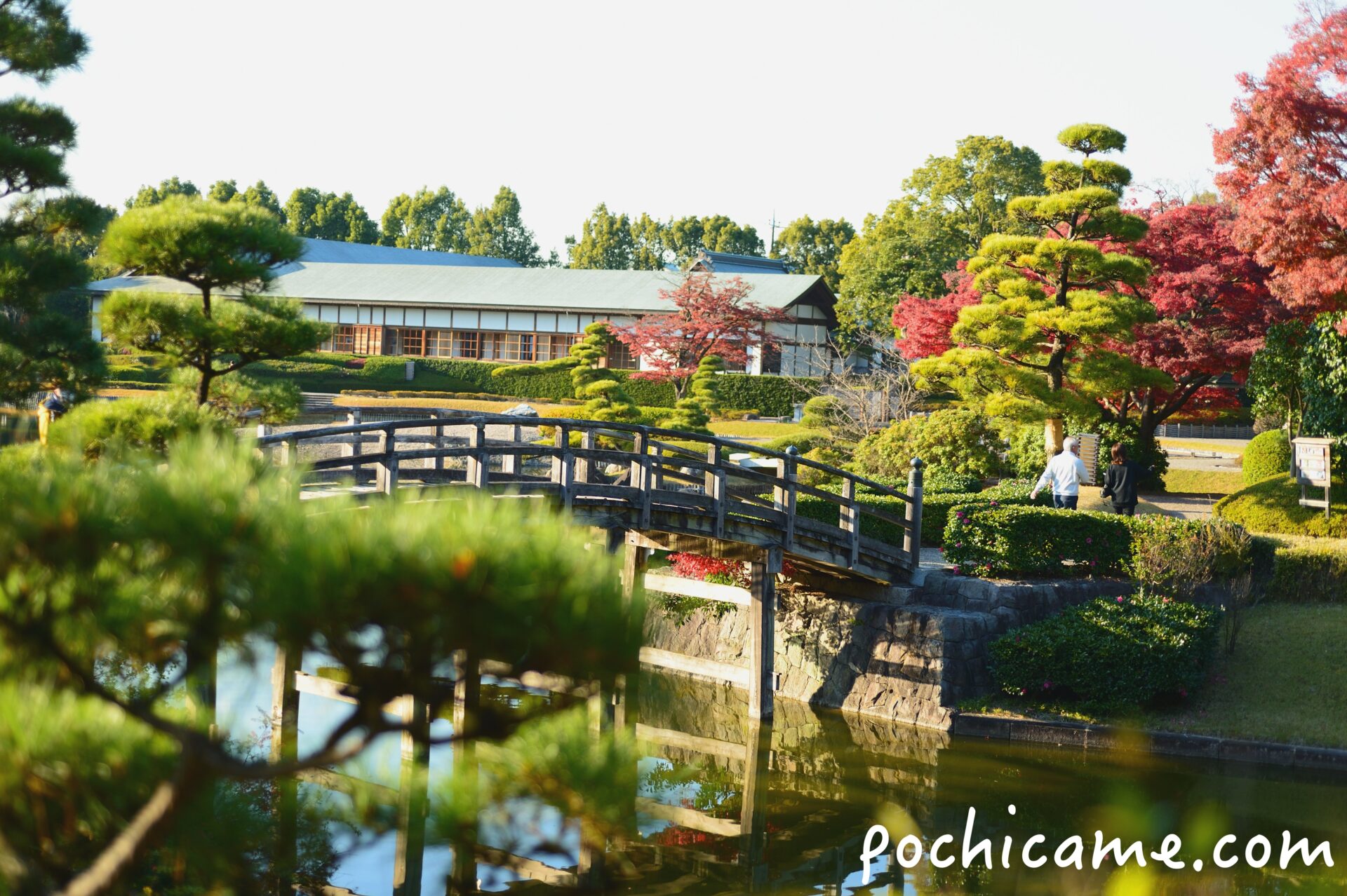 日本庭園　松