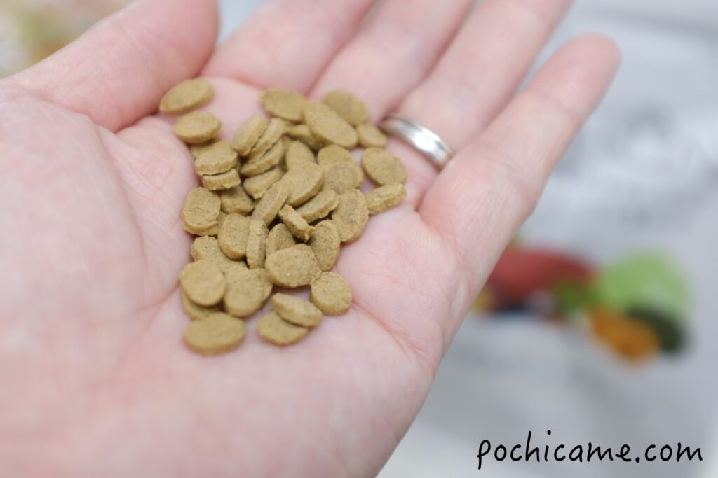 ミシュワン サイズ