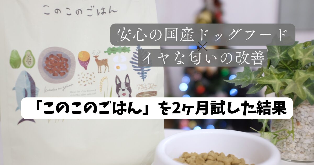 このこのごはん 2ヶ月試してみた結果