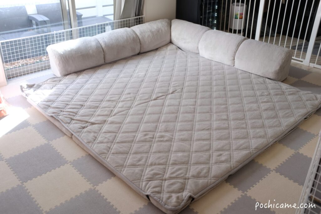 ベルーナ　クッション一体型ラグマット