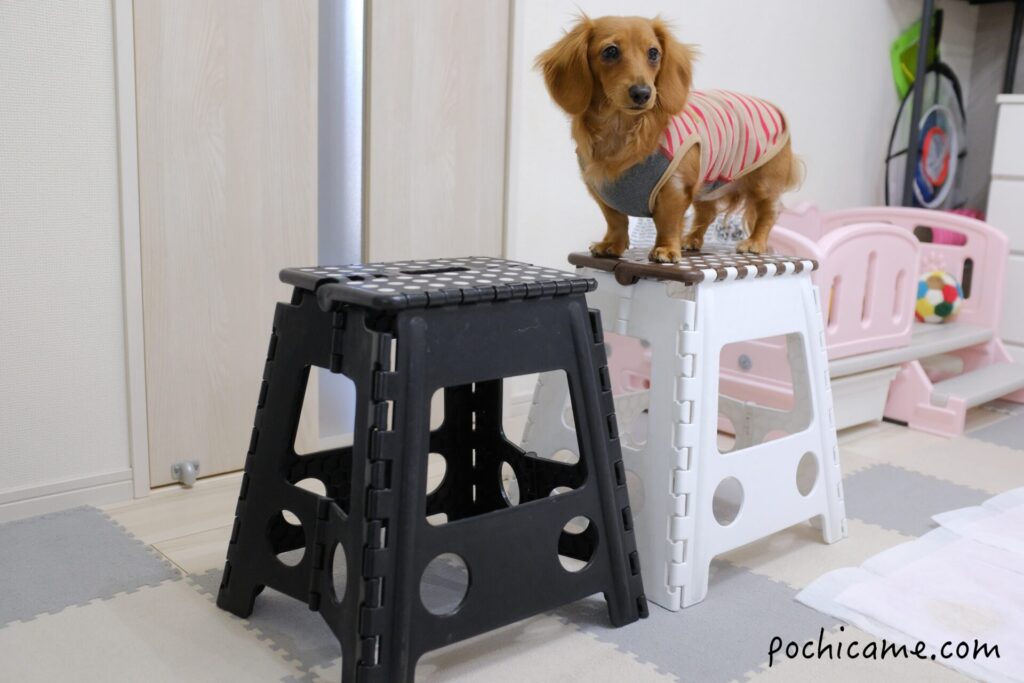 折りたたみイス　サイズ感　大きさ