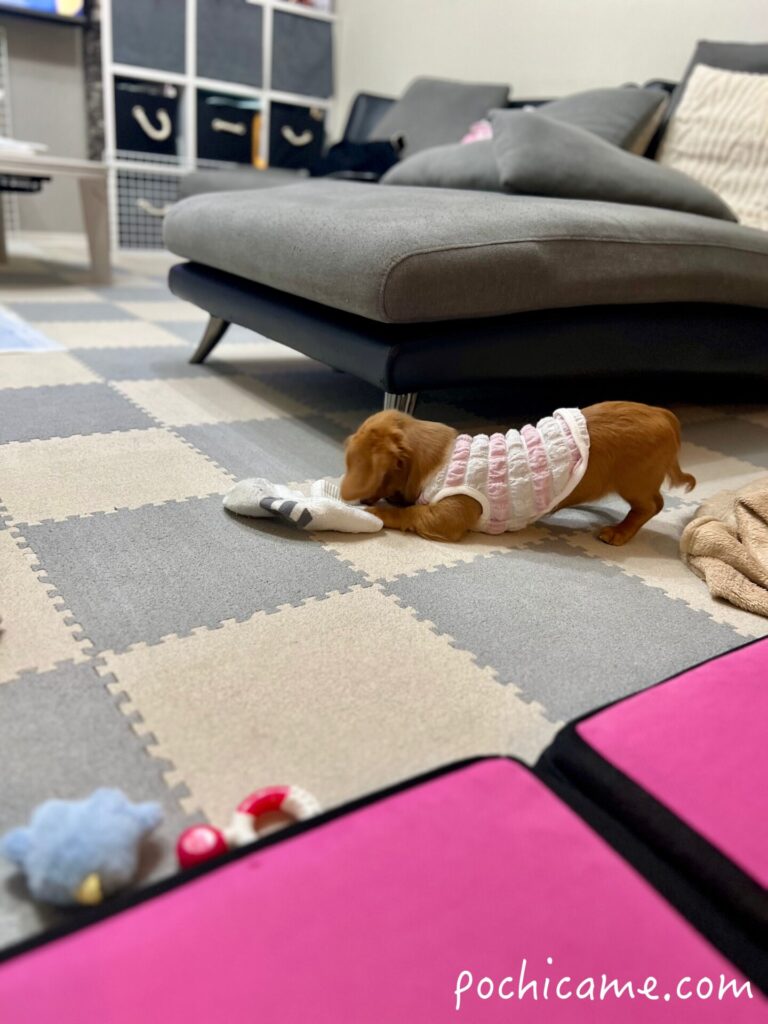 今まで使っていたソファー