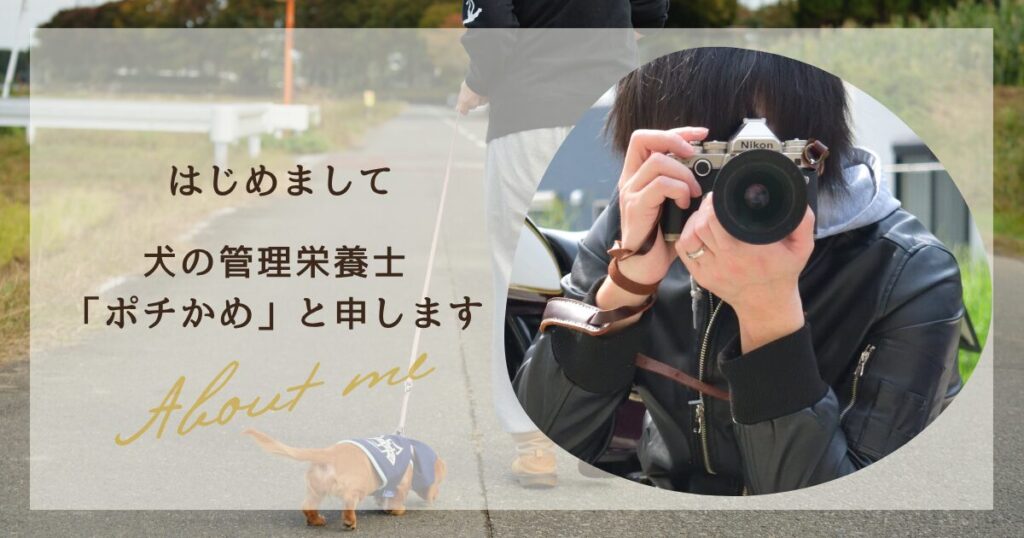 ポチかめプロフィール